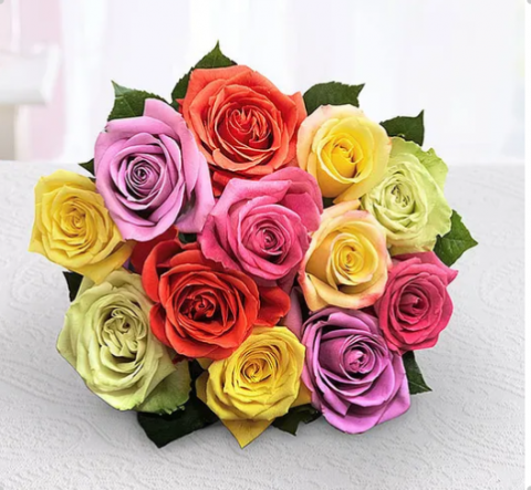 Short Stem Assorted Rainbow Roses - Jayla's Flower& Live Plants