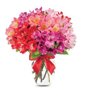 Just for Blooms