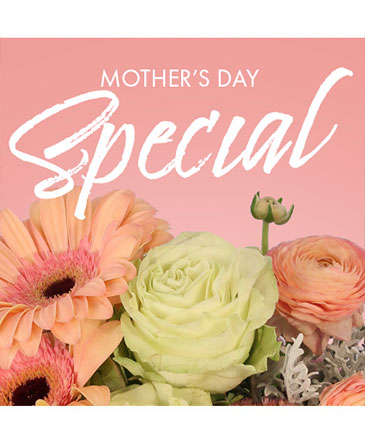 Mother's Day Special Flowers