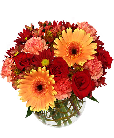 Hot and Spicy Fall Flowers Nappanee Best Florist