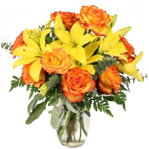 Vivid Amber Jayla's Flowers Nappanee