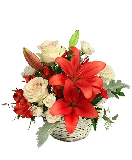Serene Scarlet Ivory Basket Floral Arrangement Nappanee Bremen Plymouth