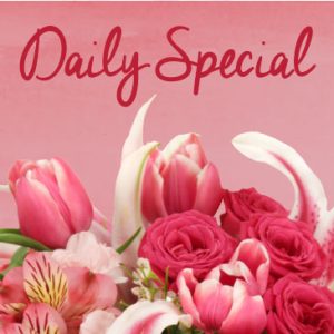 Daily Special