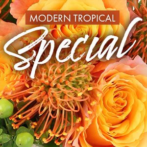 MODERN TROPICAL SPECIAL DESIGNER'S CHOICE Nappanee Bremen Wakarusa Milford